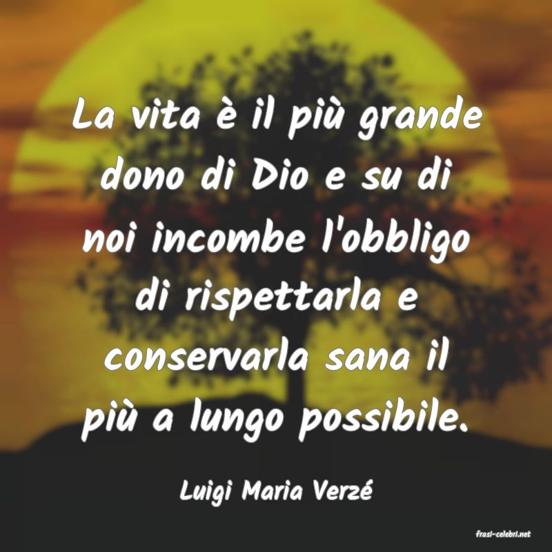 frasi di Luigi Maria Verz
