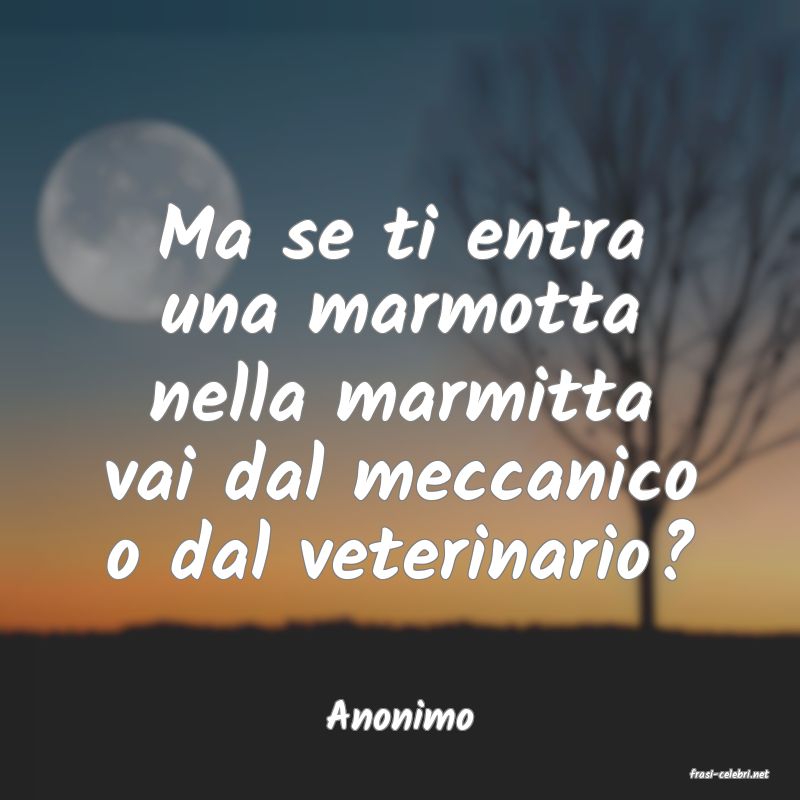 frasi di Anonimo