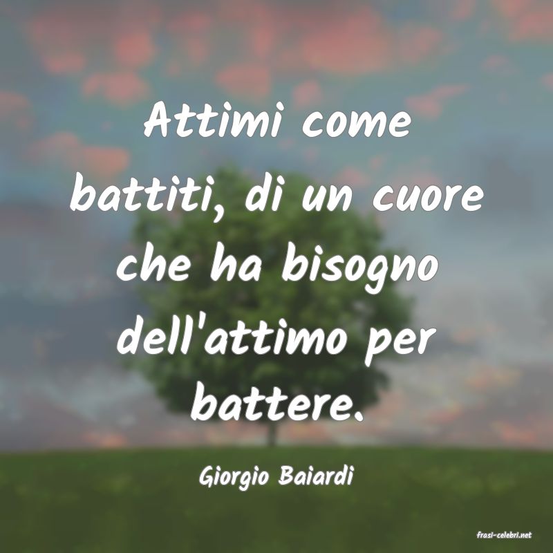 frasi di  Giorgio Baiardi
