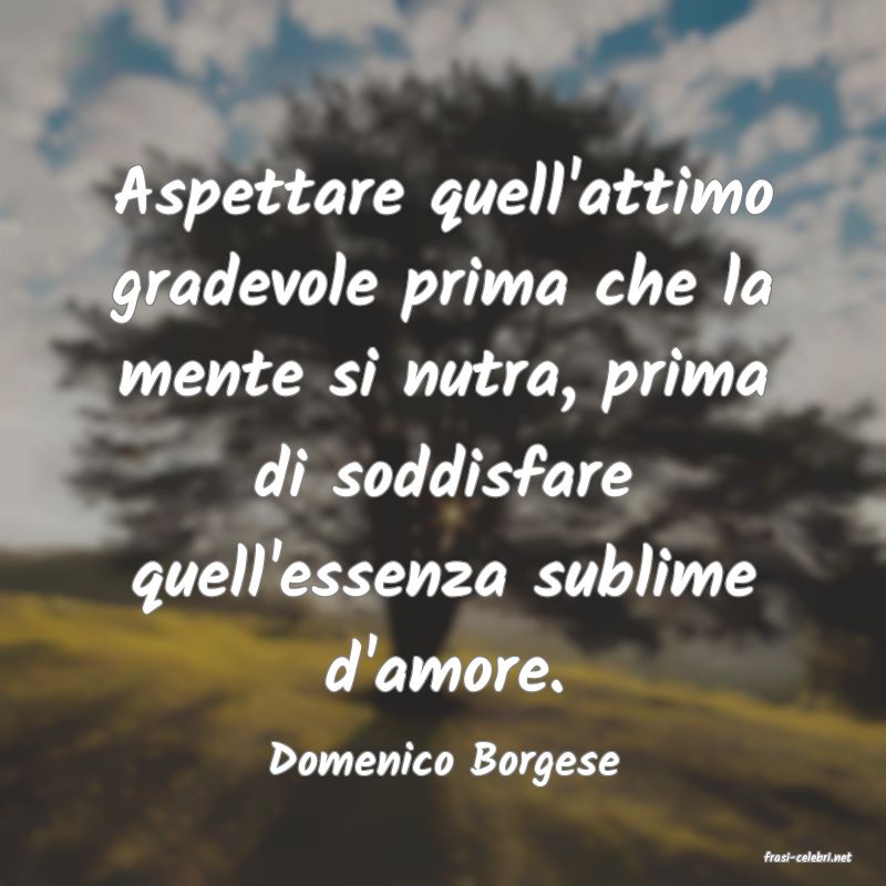 frasi di  Domenico Borgese

