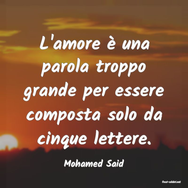 frasi di  Mohamed Said
