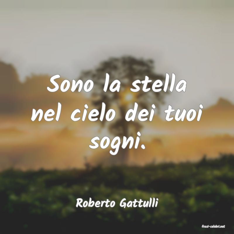frasi di  Roberto Gattulli
