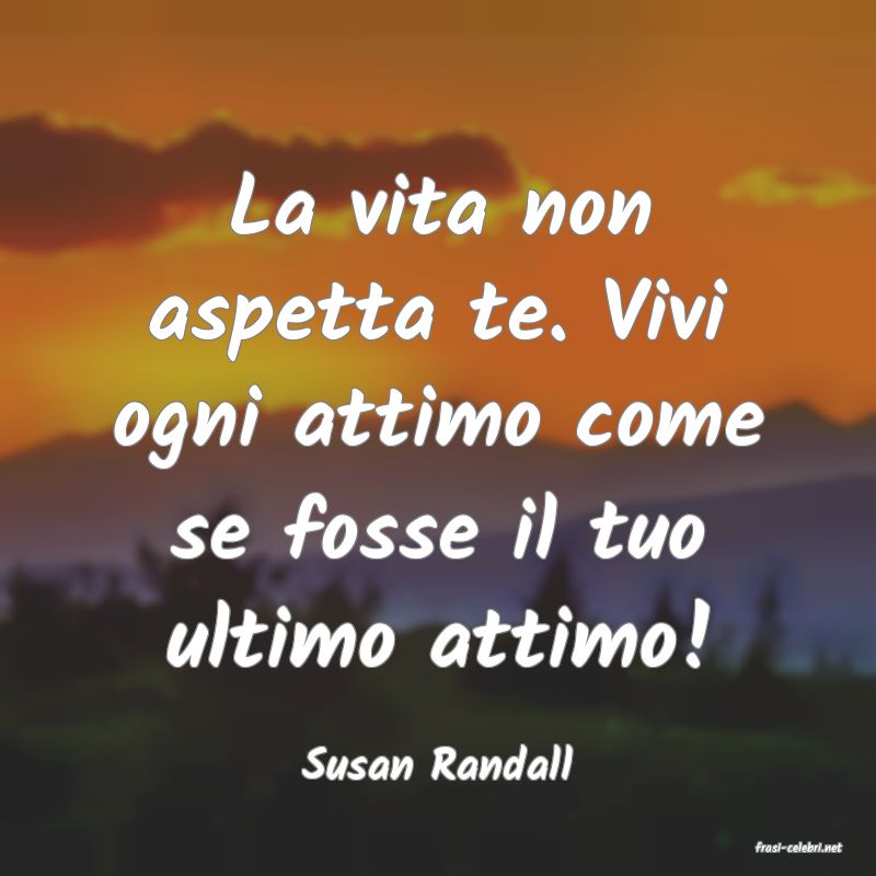 frasi di  Susan Randall
