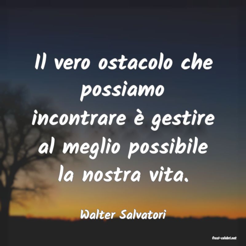 frasi di  Walter Salvatori
