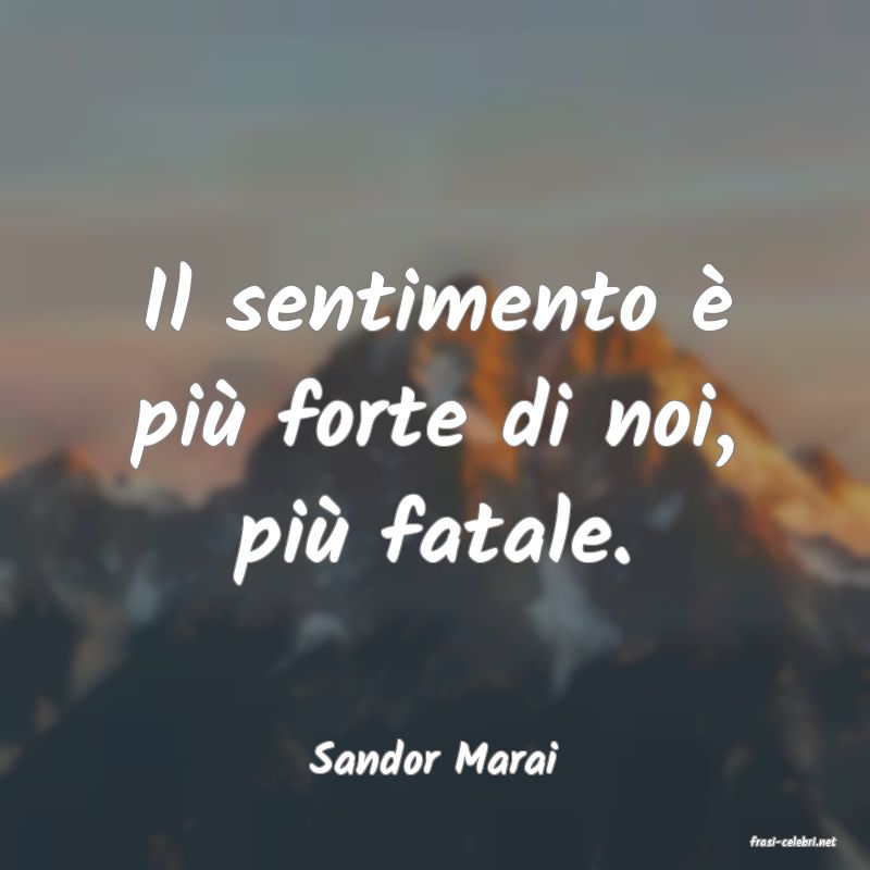 frasi di  Sandor Marai
