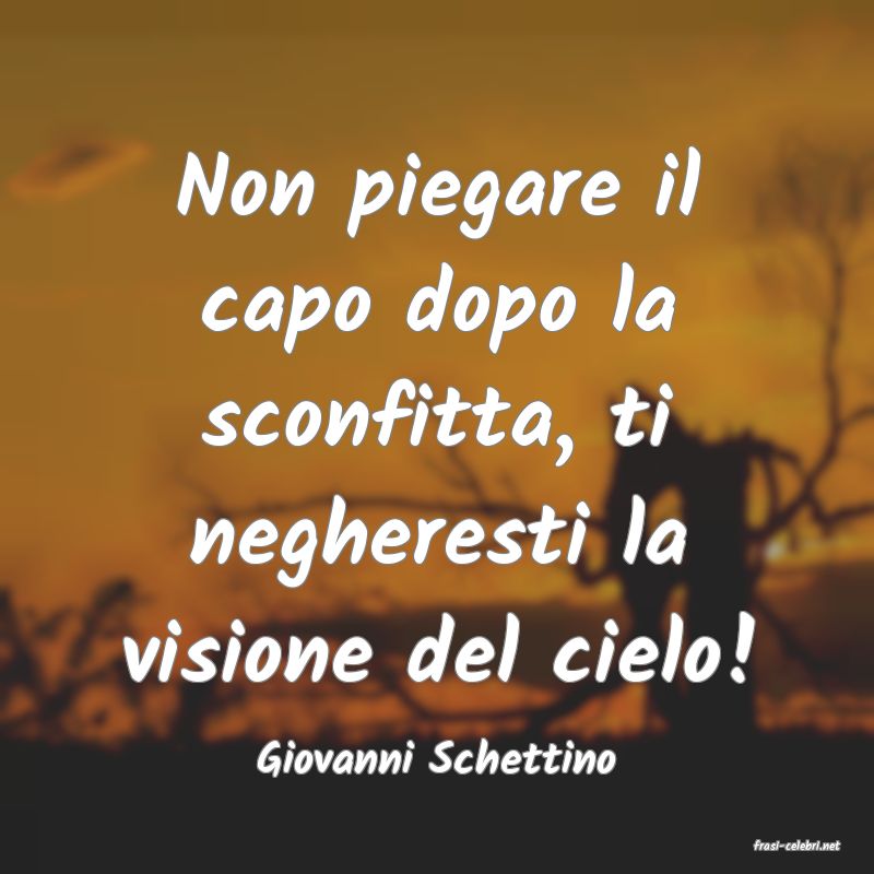 frasi di  Giovanni Schettino
