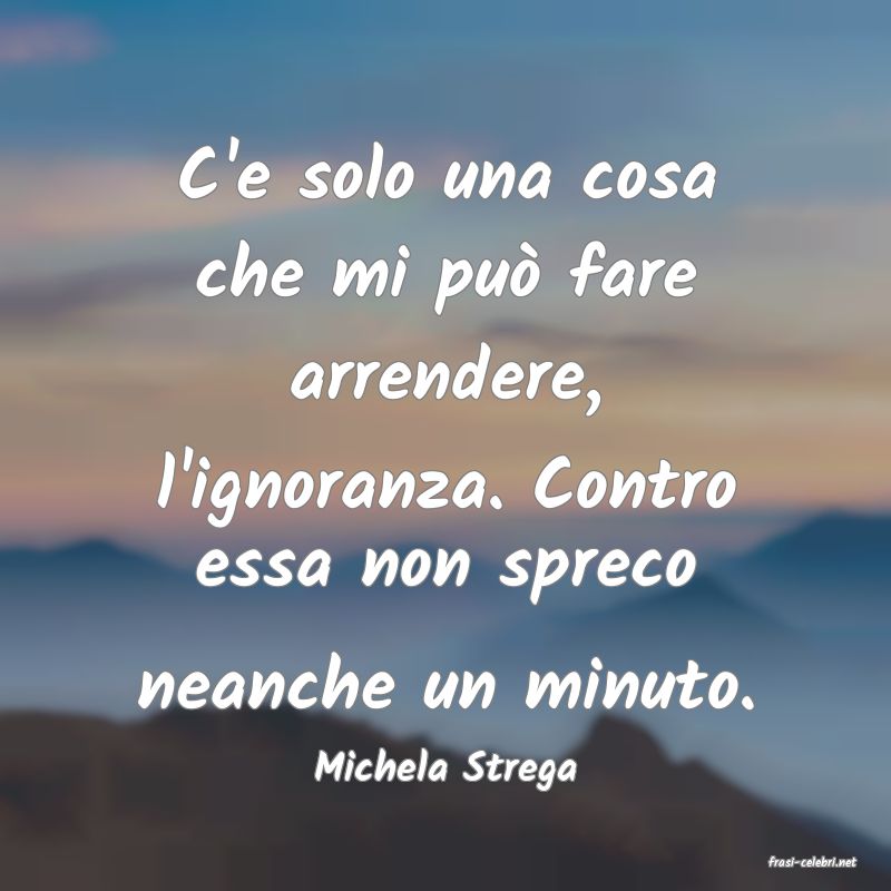 frasi di  Michela Strega
