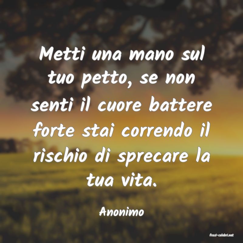 frasi di  Anonimo
