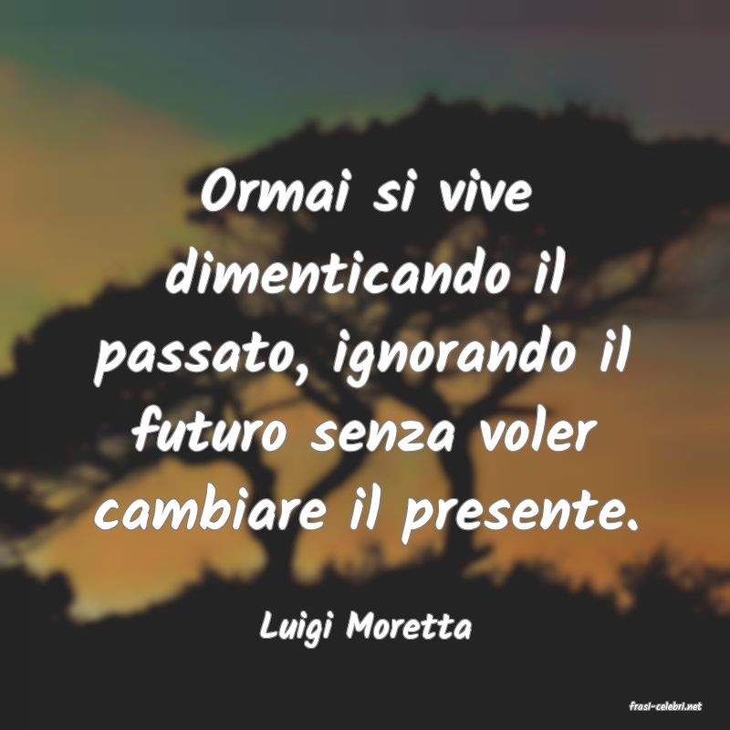 frasi di  Luigi Moretta
