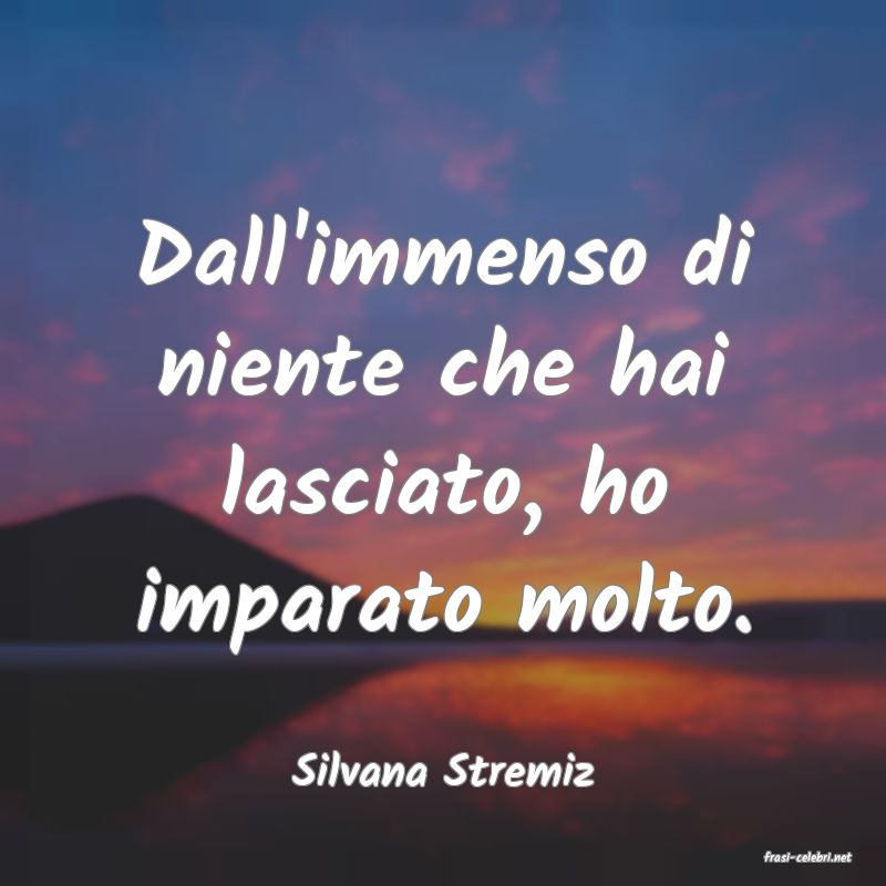 frasi di  Silvana Stremiz
