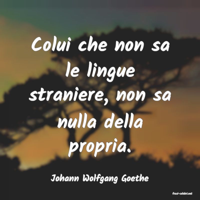 frasi di Johann Wolfgang Goethe
