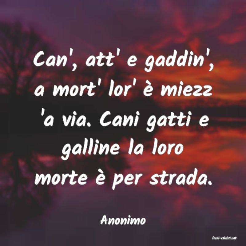 frasi di Anonimo