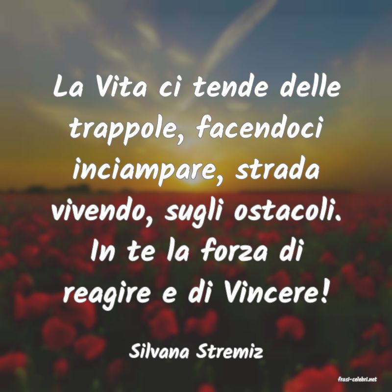 frasi di Silvana Stremiz