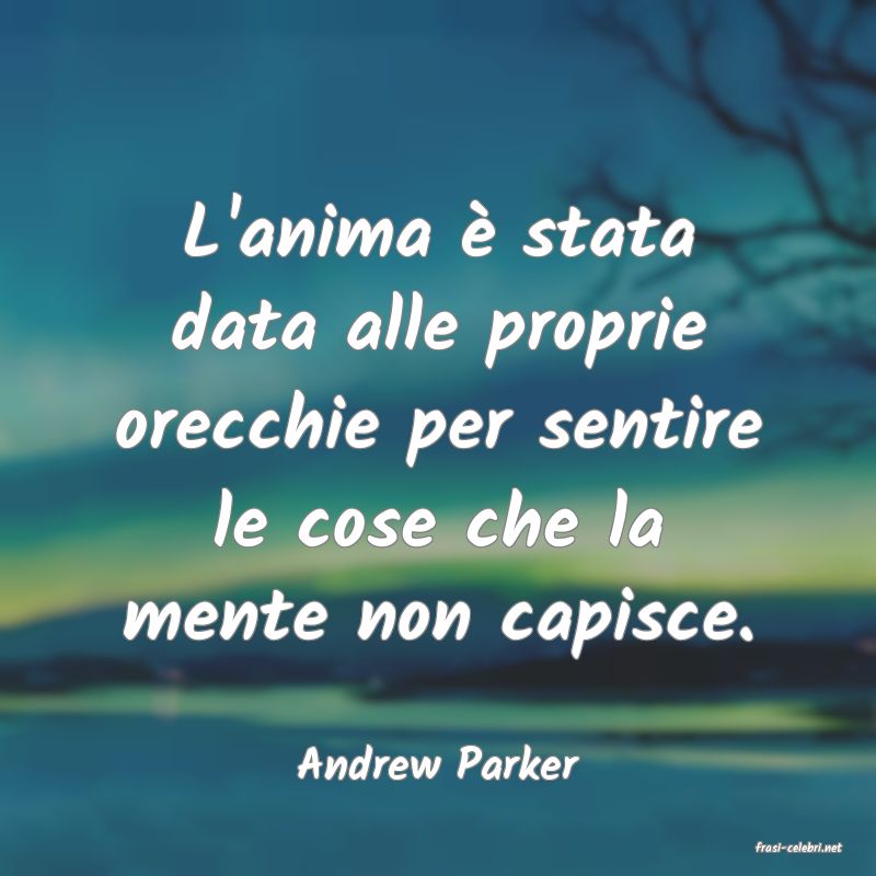 frasi di  Andrew Parker
