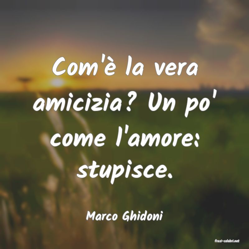 frasi di  Marco Ghidoni
