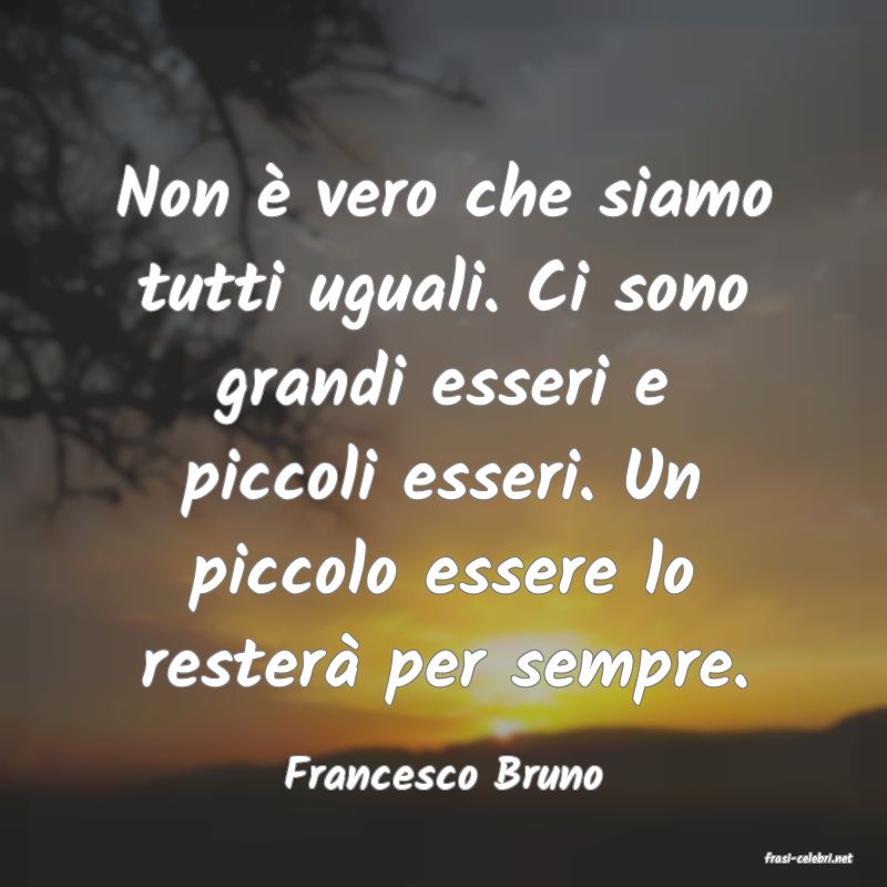 frasi di  Francesco Bruno
