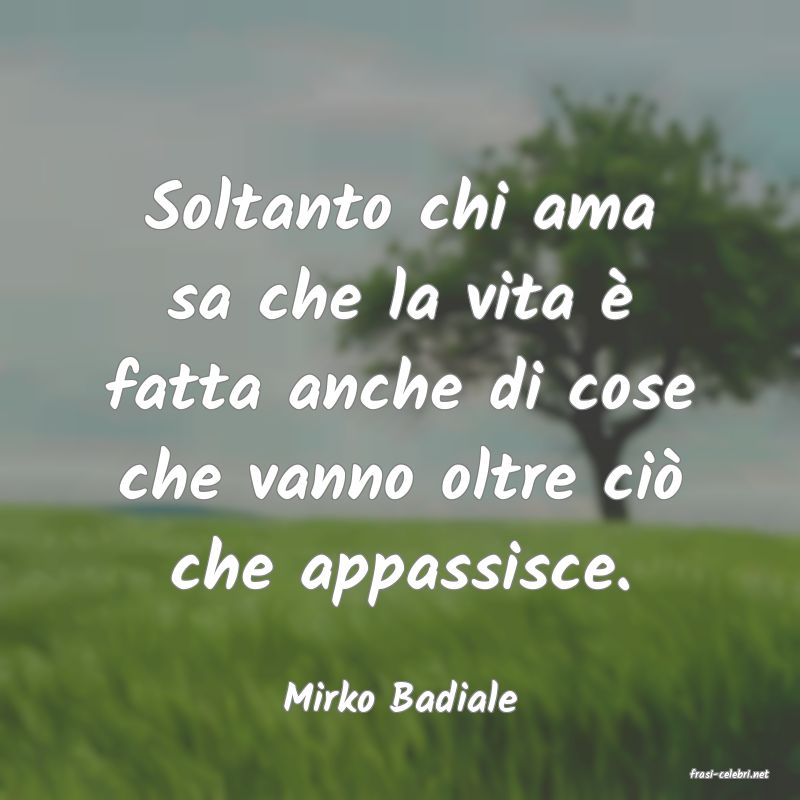 frasi di  Mirko Badiale
