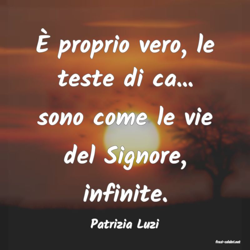 frasi di Patrizia Luzi