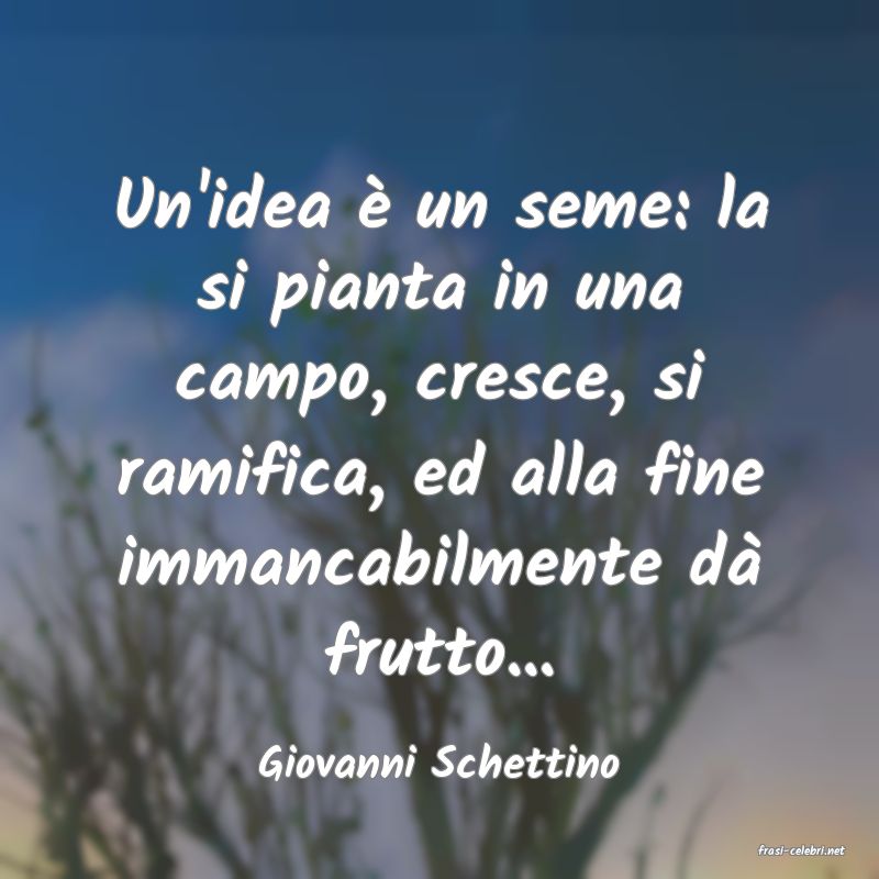 frasi di  Giovanni Schettino
