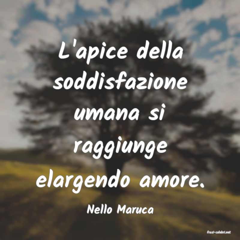frasi di  Nello Maruca
