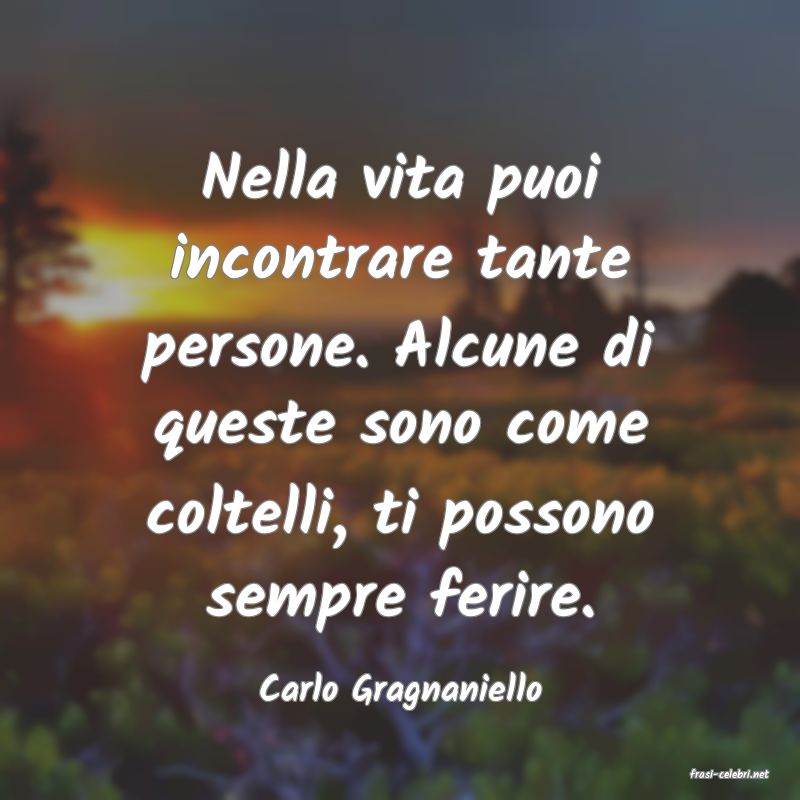frasi di  Carlo Gragnaniello

