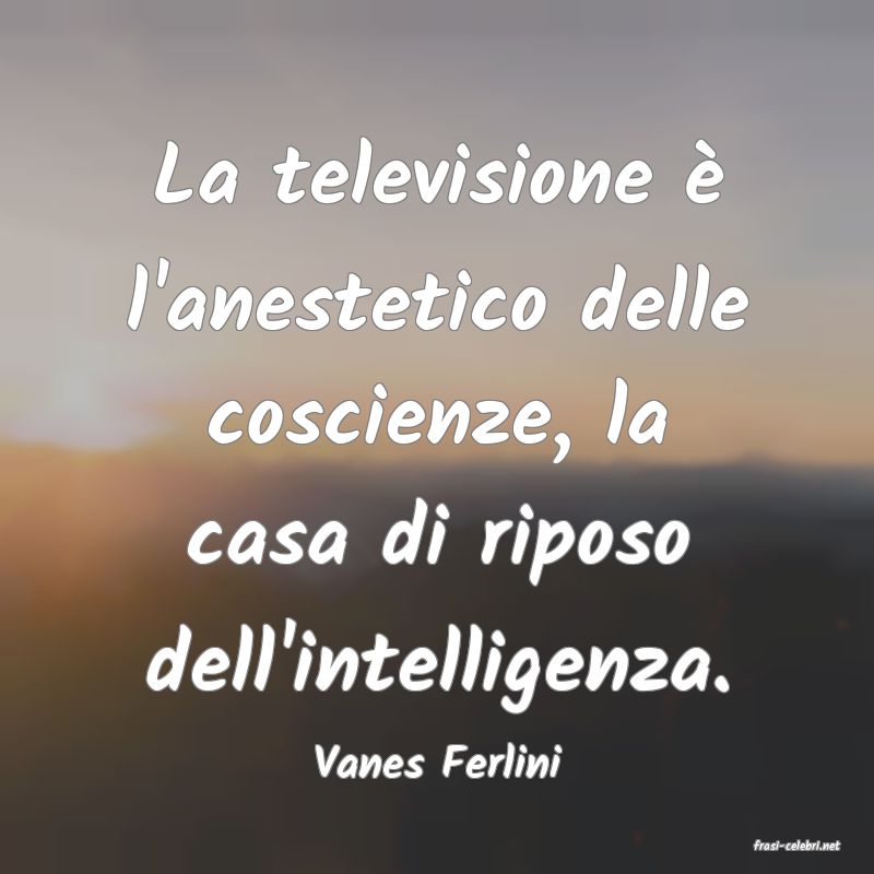 frasi di  Vanes Ferlini
