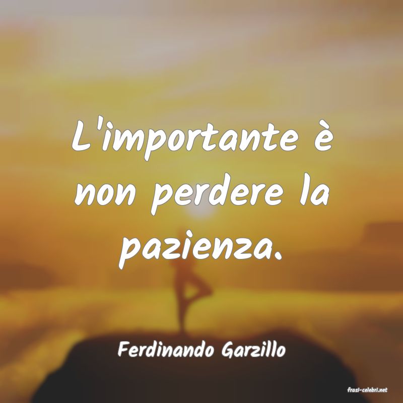 frasi di  Ferdinando Garzillo

