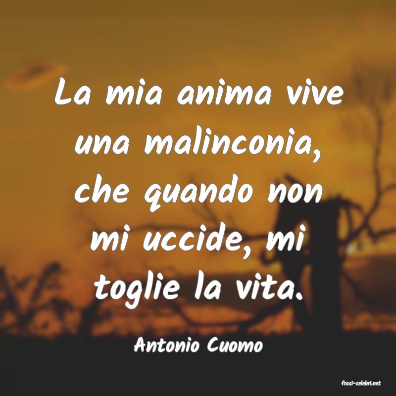 frasi di  Antonio Cuomo
