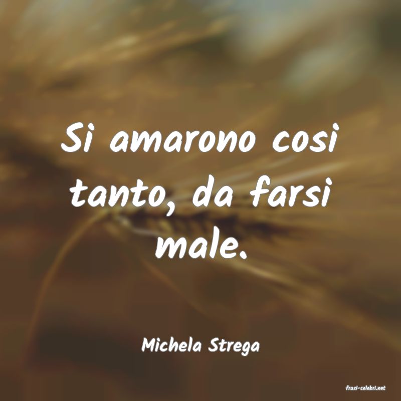 frasi di  Michela Strega
