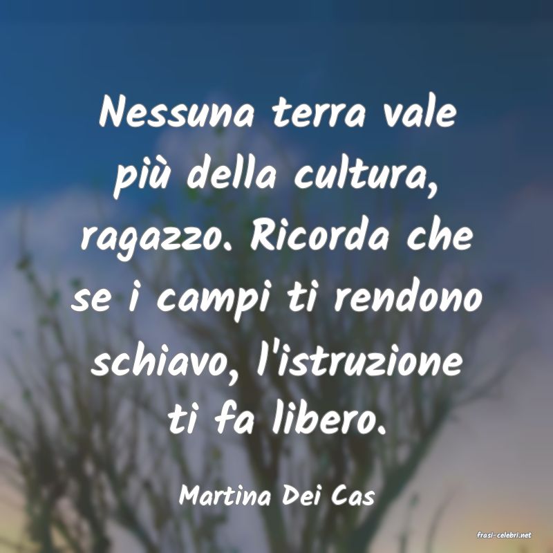 frasi di Martina Dei Cas