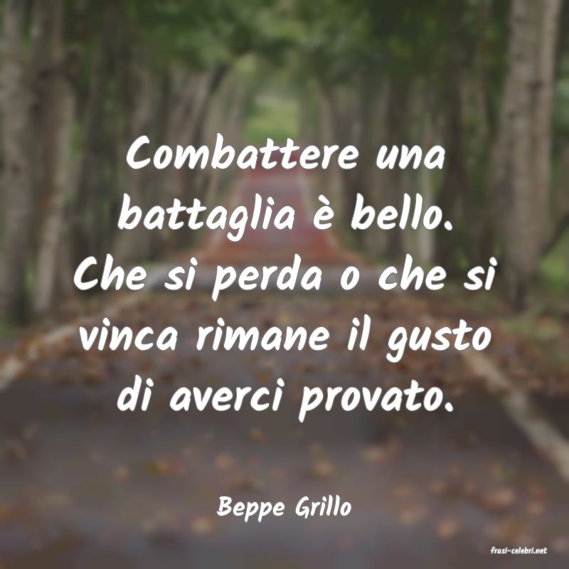 frasi di Beppe Grillo