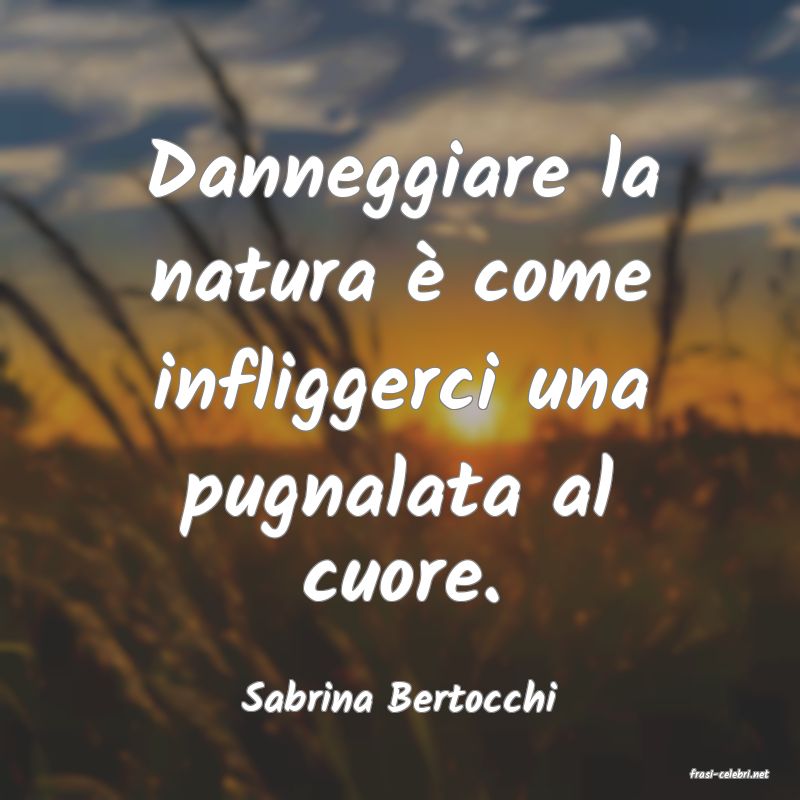 frasi di  Sabrina Bertocchi
