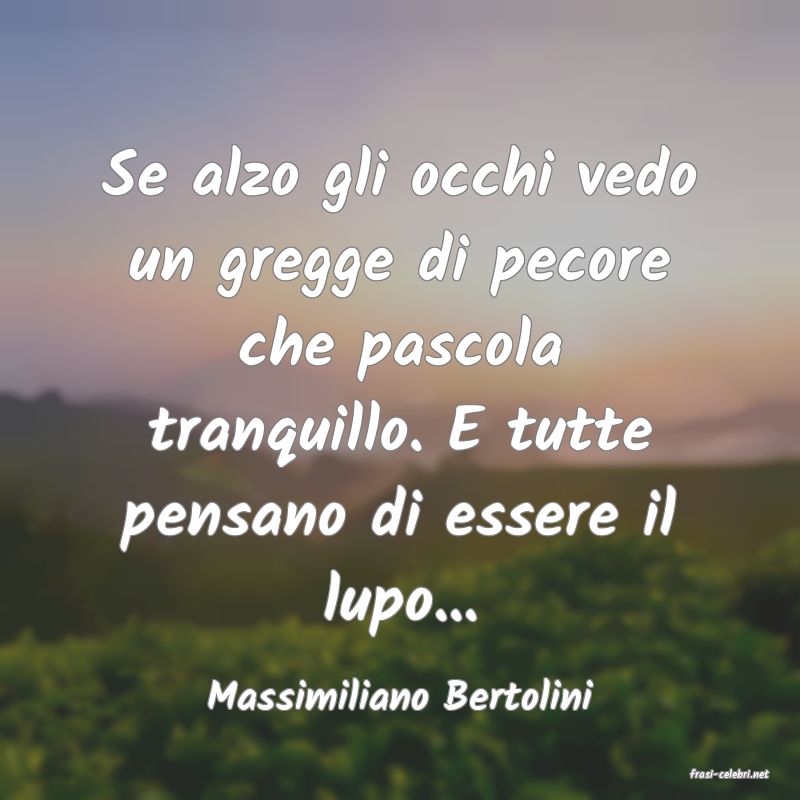 frasi di  Massimiliano Bertolini
