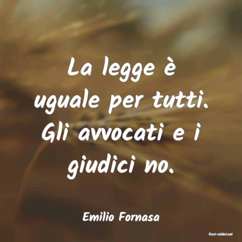 frasi di Emilio Fornasa