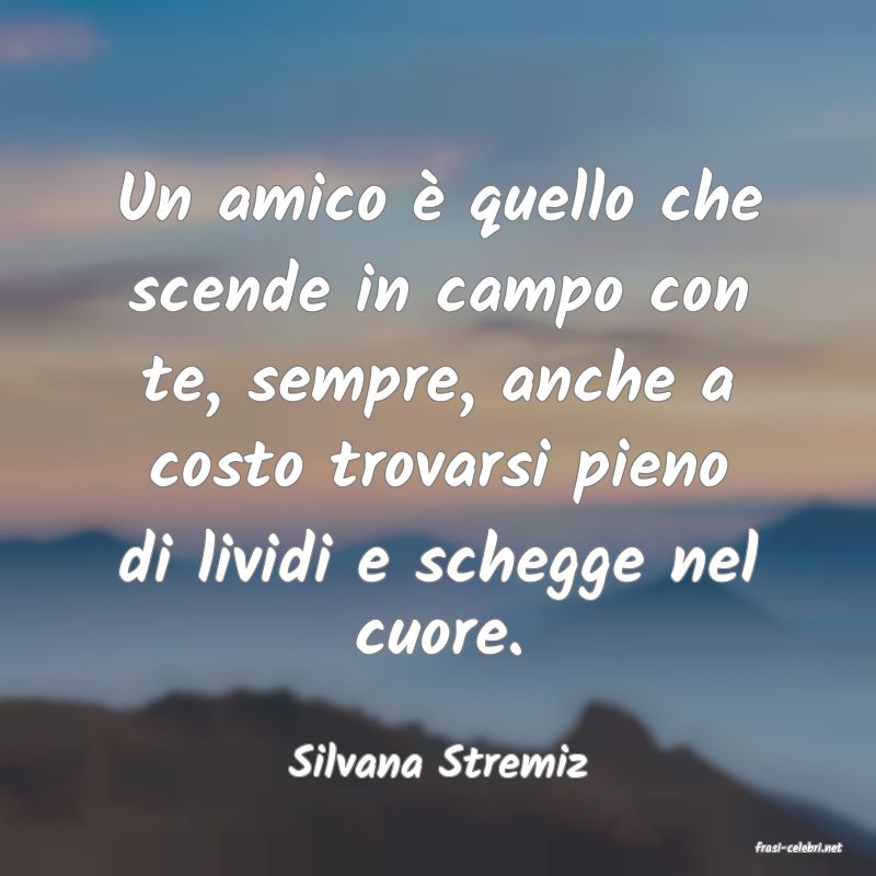 frasi di  Silvana Stremiz
