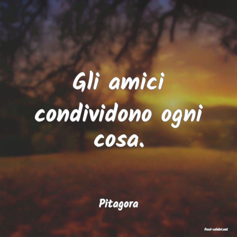 frasi di  Pitagora
