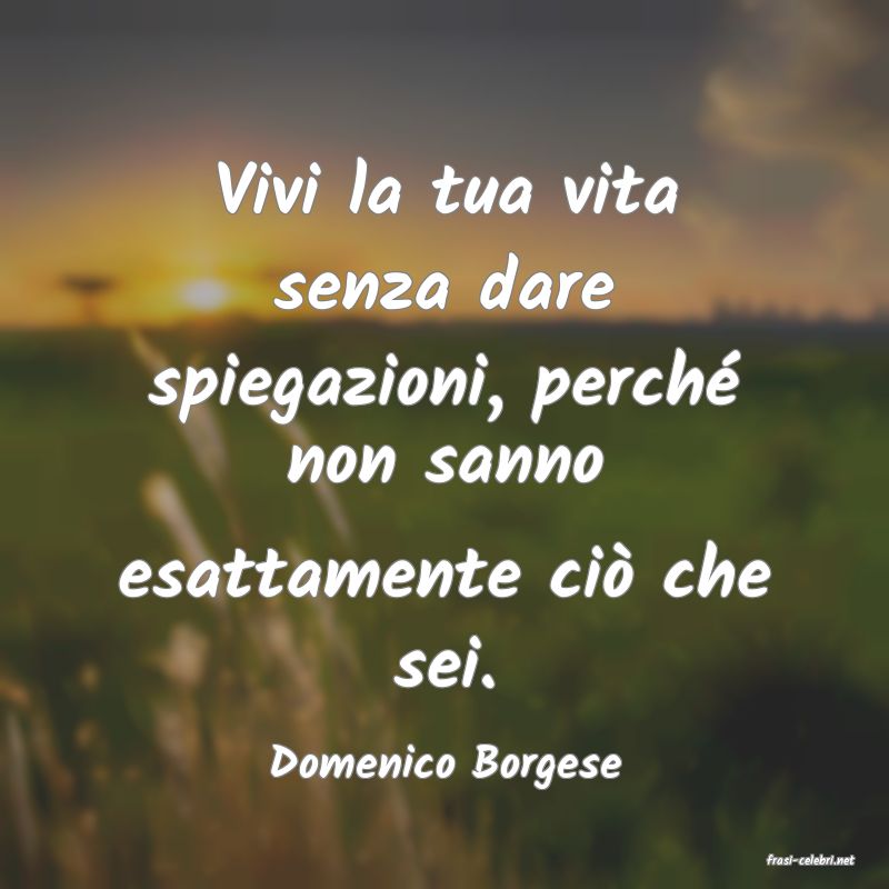 frasi di  Domenico Borgese
