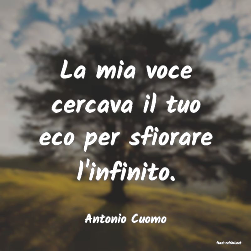 frasi di  Antonio Cuomo
