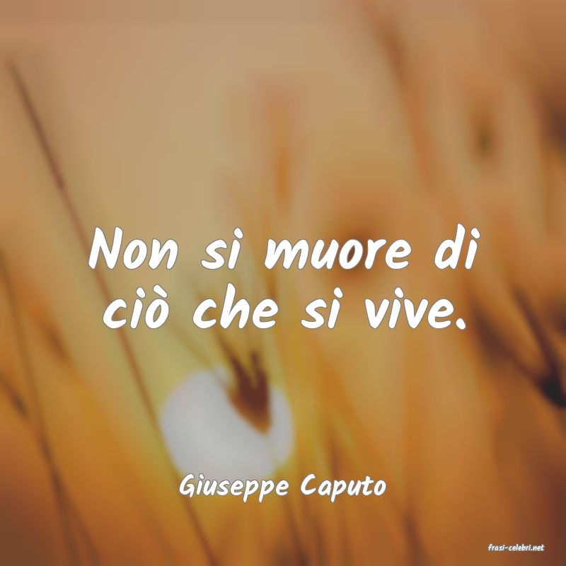 frasi di  Giuseppe Caputo
