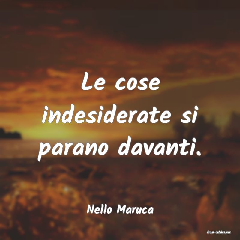 frasi di  Nello Maruca
