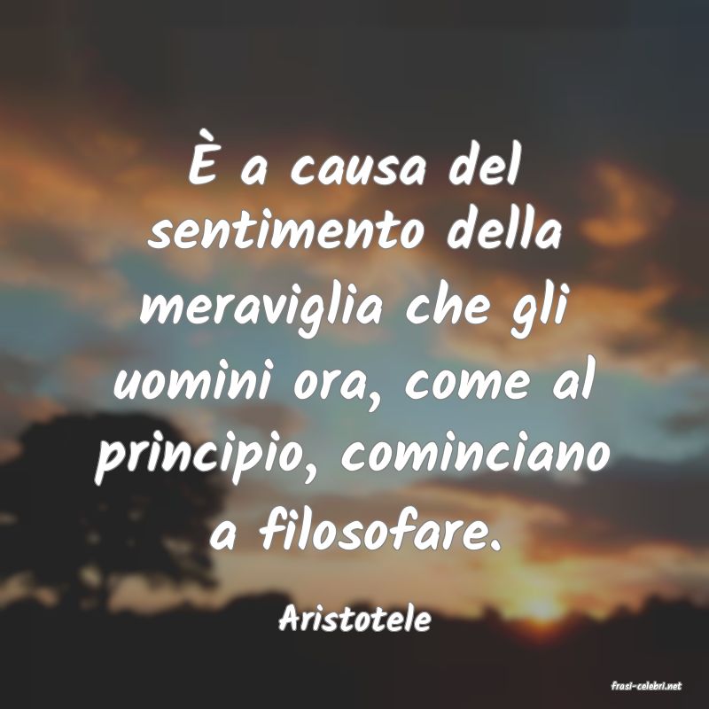 frasi di  Aristotele
