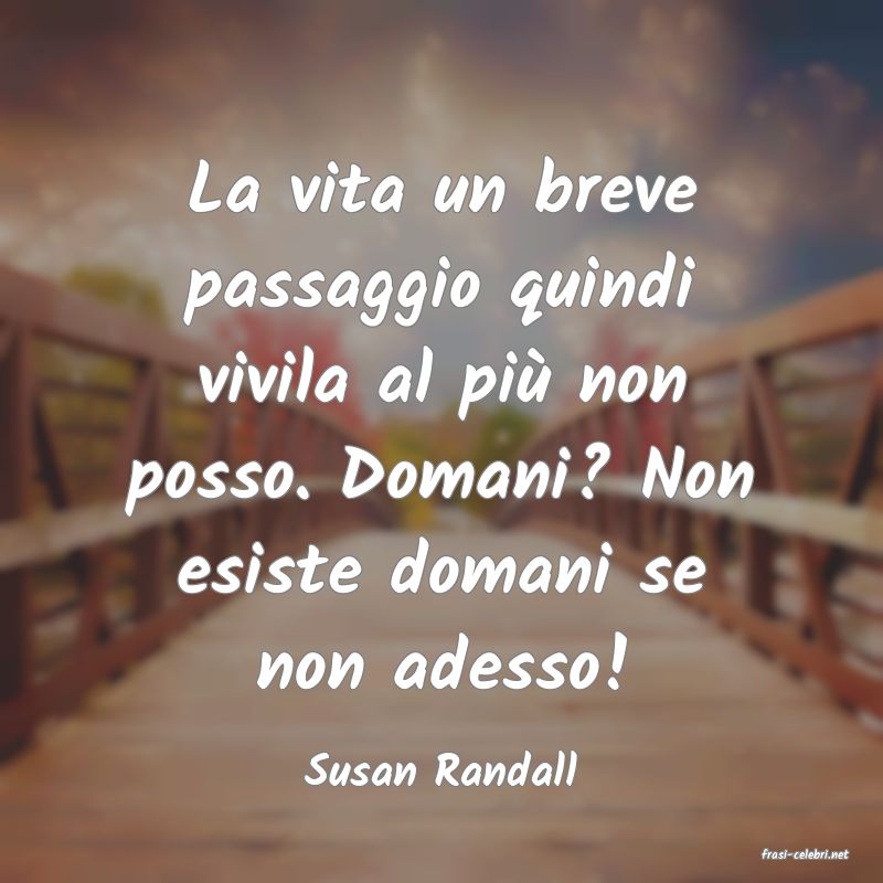 frasi di  Susan Randall
