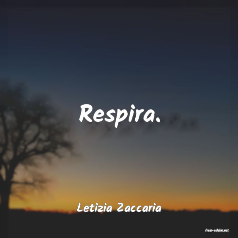 frasi di  Letizia Zaccaria
