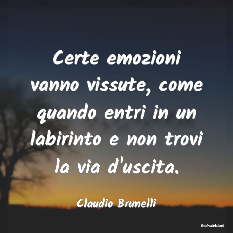 frasi di  Claudio Brunelli
