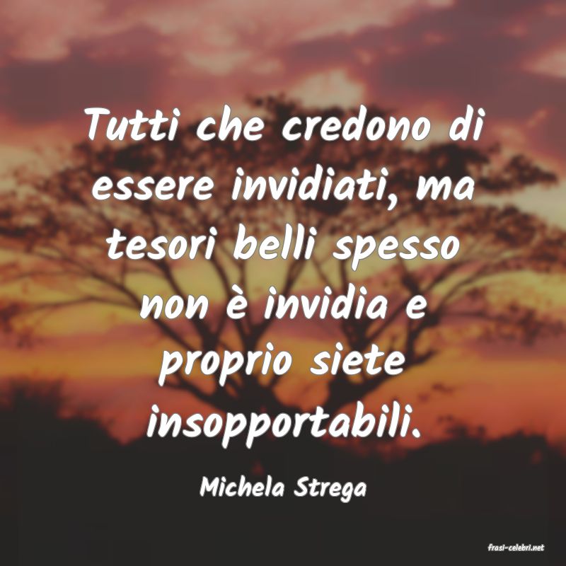 frasi di  Michela Strega
