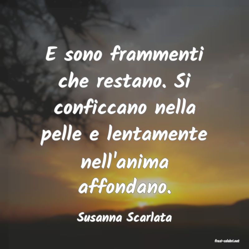 frasi di  Susanna Scarlata
