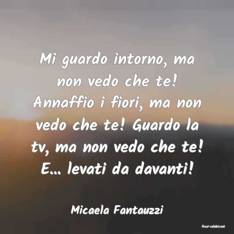 frasi di Micaela Fantauzzi