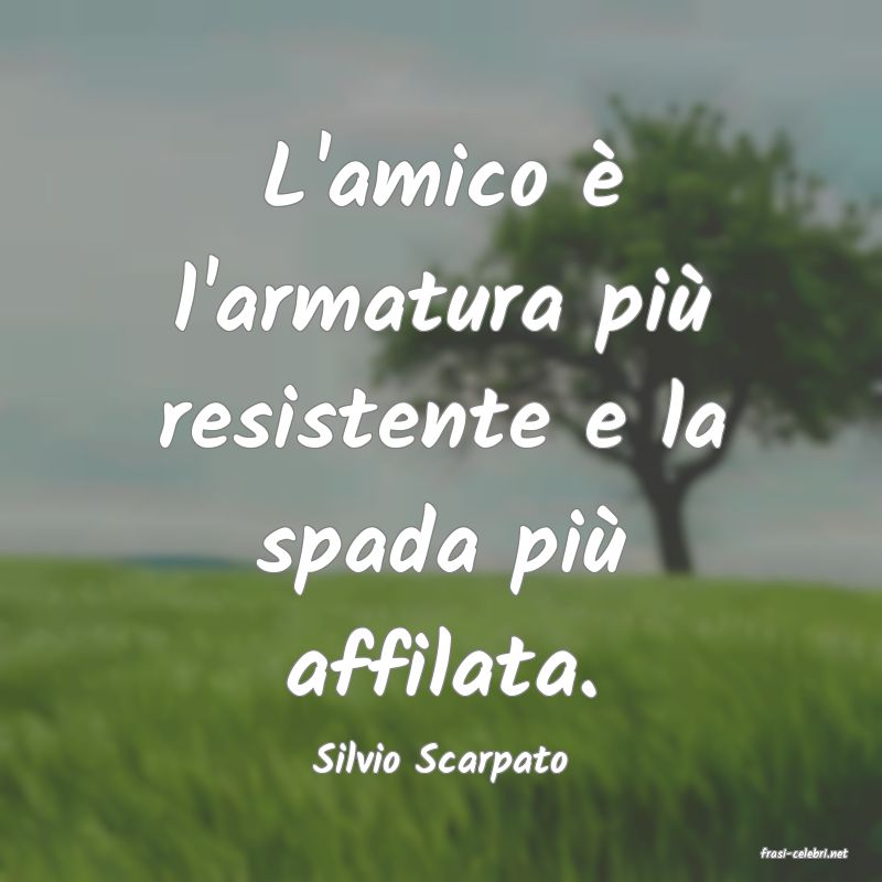 frasi di  Silvio Scarpato
