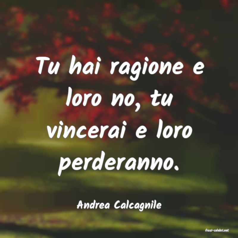 frasi di  Andrea Calcagnile
