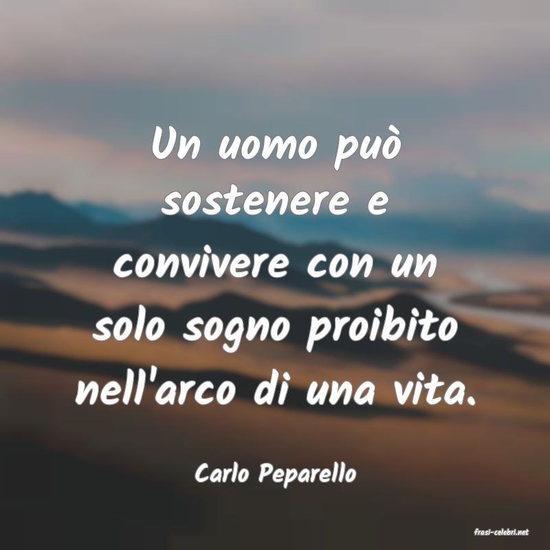 frasi di  Carlo Peparello
